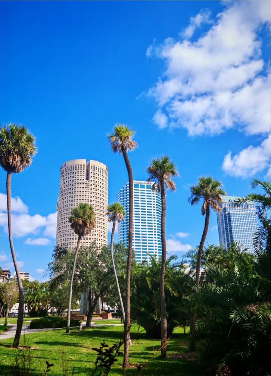 Palm trees and downtown buildings in Florida